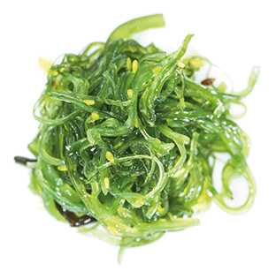 A photo of some seaweed